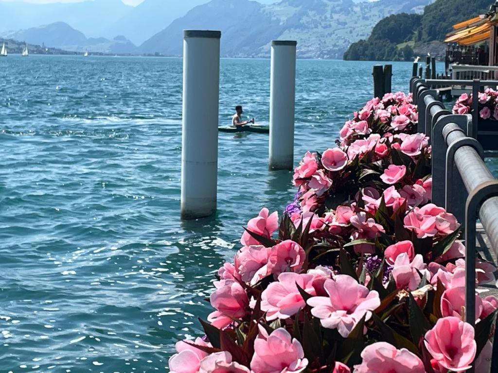Seehotel Schwert ゲルサウ エクステリア 写真
