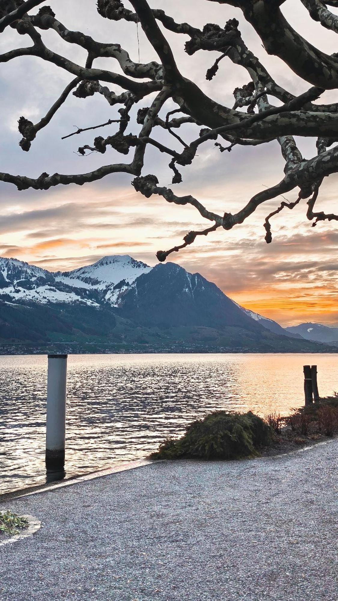Seehotel Schwert ゲルサウ エクステリア 写真