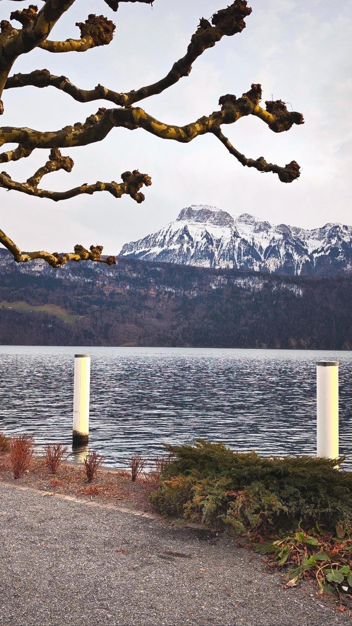 Seehotel Schwert ゲルサウ エクステリア 写真