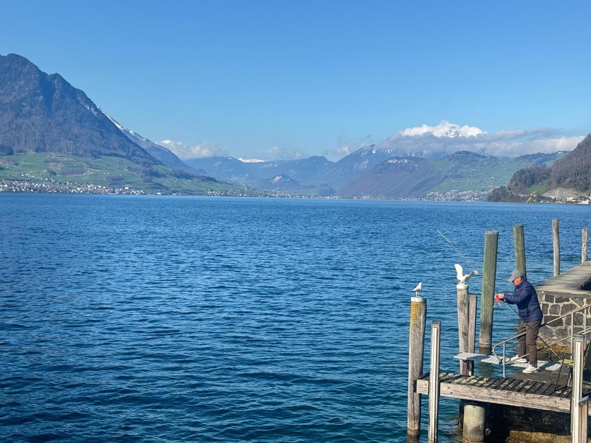Seehotel Schwert ゲルサウ エクステリア 写真